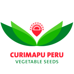 logo3