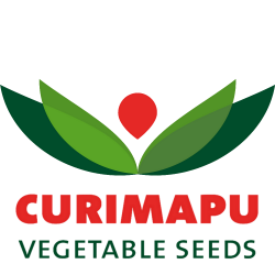 logo4